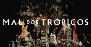 Mal dos trópicos