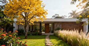 Transformei meu jardim com plantas nativas que florescem fácil e atraem vida ao ambiente
