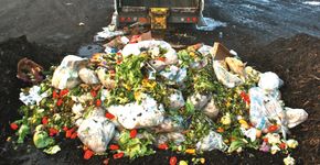 Movimento quer reduzir desperdício de alimentos e combater a fome