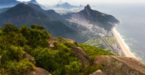 Foto: (Cesar Okada/iStock)