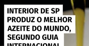 Azeite do interior de SP é eleito o melhor do mundo por guia internacional
