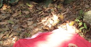 10 dicas para curtir as férias com menos telas e mais natureza