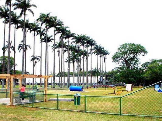Espaço 4 Patas - Foto Divulgação