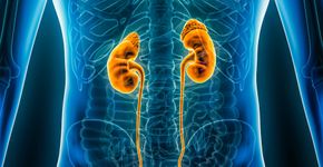Foto: (iStock/libre de droit)