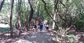 Caminhada meditativa no parque