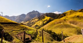 Foto: (TacioPhilip/iStock)