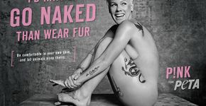 Pink posa nua para PETA em campanha contra o uso de peles