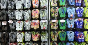 Foto: (iStock | luoman)