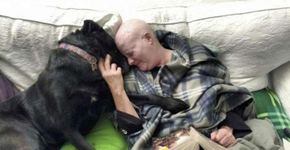 Mulher e cachorrinha lutam juntas contra o câncer de mama