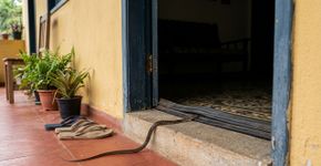 Especialistas aconselham que as pessoas fechem portas e janelas com força porque cada vez mais cobras estão entrando escondidas nas casas