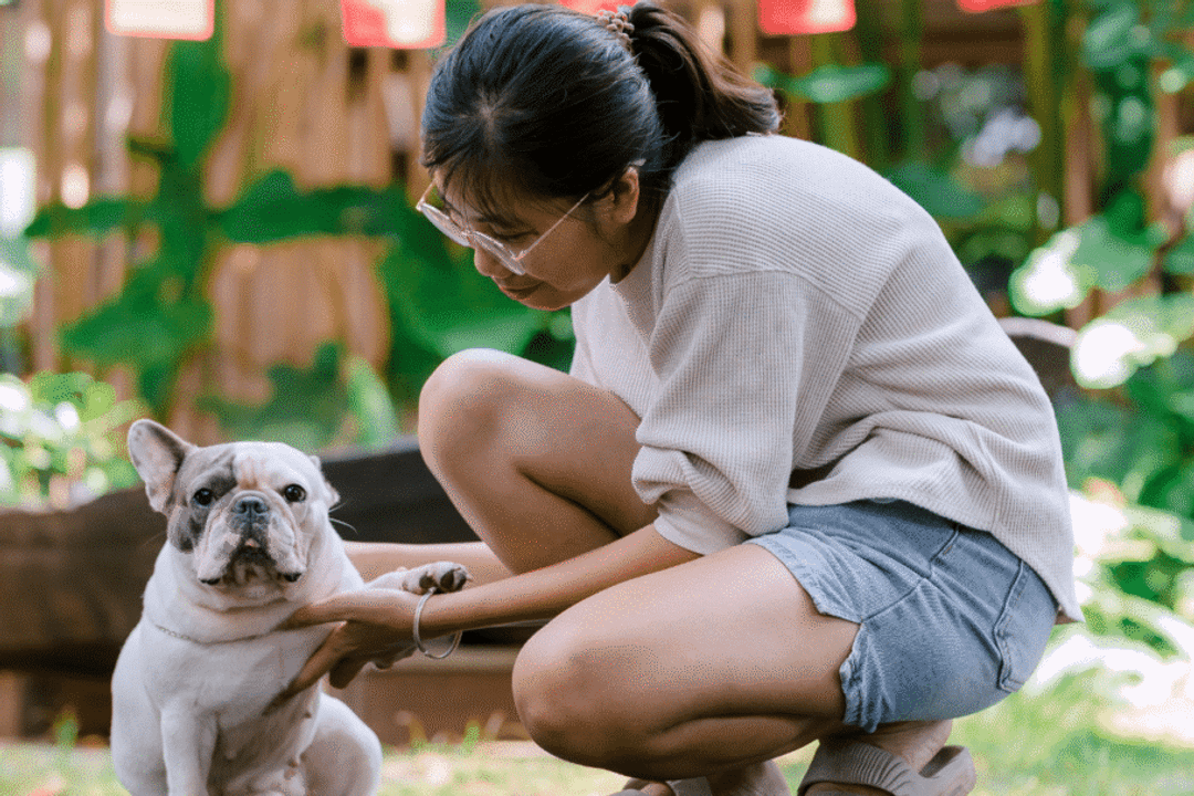 Lambedura constante pode deixar as patas úmidas e irritadas, favorecendo a proliferação de bactérias e fungos e agravando inflamações (Imagem: Nguyễn Tiến Thịnh | Pexels)