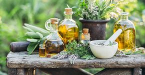 Menopausa: 6 plantas que contribuem para o bem-estar feminino