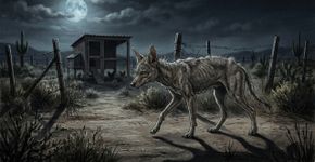 Como é a verdadeira aparência do Chupacabra e o que a ciência descobriu sobre a criatura misteriosa
