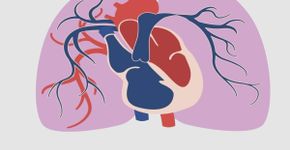 Hipertensão arterial pulmonar: entenda a doença de Lígia em “Três Graças”