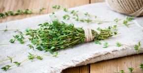 Foto: (iSTock/wmaster890)
