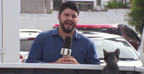 Foto: (Reprodução/TV Paraíba)