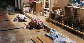 Shopping abriga animais à noite para que não passem frio na rua