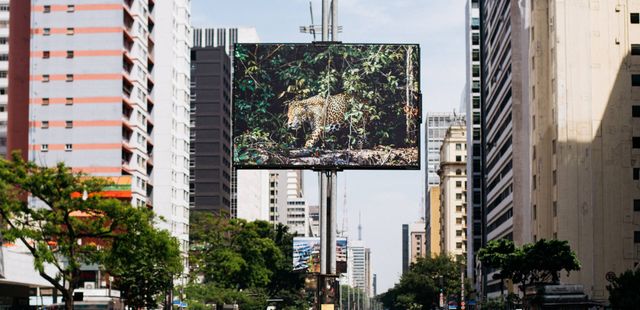 Exposição ‘Amazônia das Crianças’