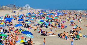 Nova Jersey terá praia ‘exclusiva’ para cachorros