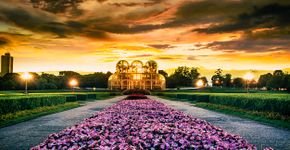 Foto: (wsfurlan/iStock)