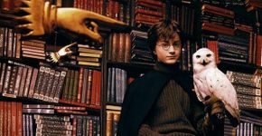 As 10 bibliotecas mais incríveis do cinema