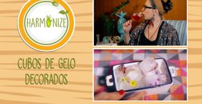 Aprenda fazer cubos de gelo decorados