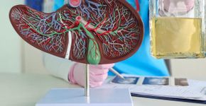 Entenda como o consumo excessivo e ocasional de álcool é um risco para o fígado