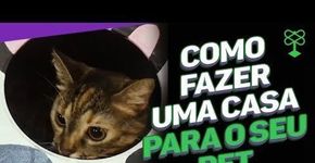 Como fazer uma casa para o seu pet com uma lata usada #CatracaLivreEconomize