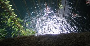 Cenote Ik-Kil preenche as belas paisagens do México