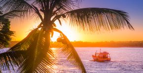 Foto: (Istock)