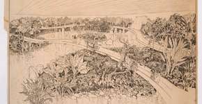 Foto: (Divulgação Cor Comunicação /  Instituto Burle Marx)
