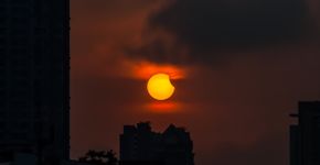 Foto: (apidechphoto/iStock)