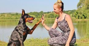 Pesquisa mostra quer o amor entre pais e filhos é o mesmo entre cães e donos