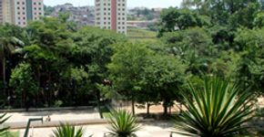 Faça um passeio pelo Parque Guarapiranga