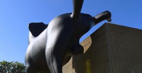 Escultura de labrador ‘marca território’ em museu