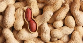 Foto: (iStock)