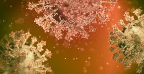 Foto: (Naeblys/istock)