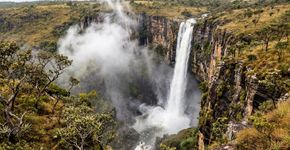 Quase 198 mil hectares de Cerrado, a nascente do São Francisco e uma queda de 186 metros: o parque mineiro criado em 1972 para proteger uma das paisagens mais marcantes da região