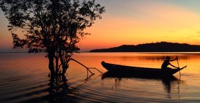 4 motivos para conhecer a amazônia paraense