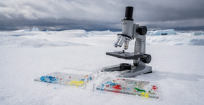 A terrível verdade sobre a neve da Antártida foi exposta: o que parecia ser o ar mais puro do mundo agora carrega uma chuva invisível de plástico que está envenenando a base da cadeia alimentar