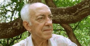 “Poesia Ilimitada” na Casa das Rosas