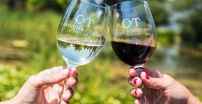 Foto: (Divulgação | Wine Locals)