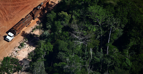 A destruição da Floresta Amazônica nas lentes de Rodrigo Baleia