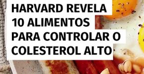 Harvard revela 10 alimentos para controlar o colesterol alto