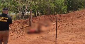Foto: (Polícia Civil)