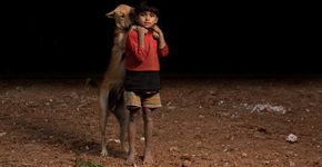 Série retrata histórias de crianças órfãs com seus cães adotados