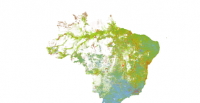 Mapa interativo destaca segregação racial no Brasil