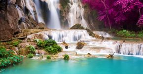 Foto: (Preto_perola/iStock)