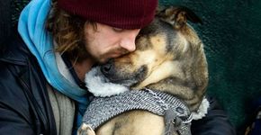 Fotos fofas mostram por que os cães são os nossos melhores amigos