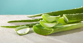 5 benefícios da aloe vera para a pele